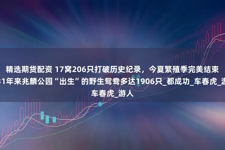 精选期货配资 17窝206只打破历史纪录，今夏繁殖季完美结束｜31年来兆麟公园“出生”的野生鸳鸯多达1906只_都成功_车春虎_游人