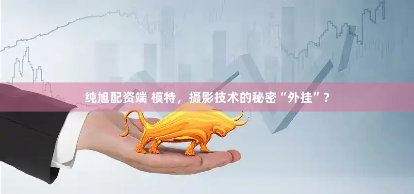 纯旭配资端 模特，摄影技术的秘密“外挂”？