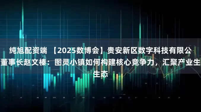 纯旭配资端 【2025数博会】贵安新区数字科技有限公司董事长赵文榛：图灵小镇如何构建核心竞争力，汇聚产业生态