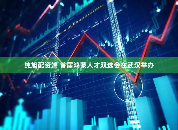 纯旭配资端 首届鸿蒙人才双选会在武汉举办